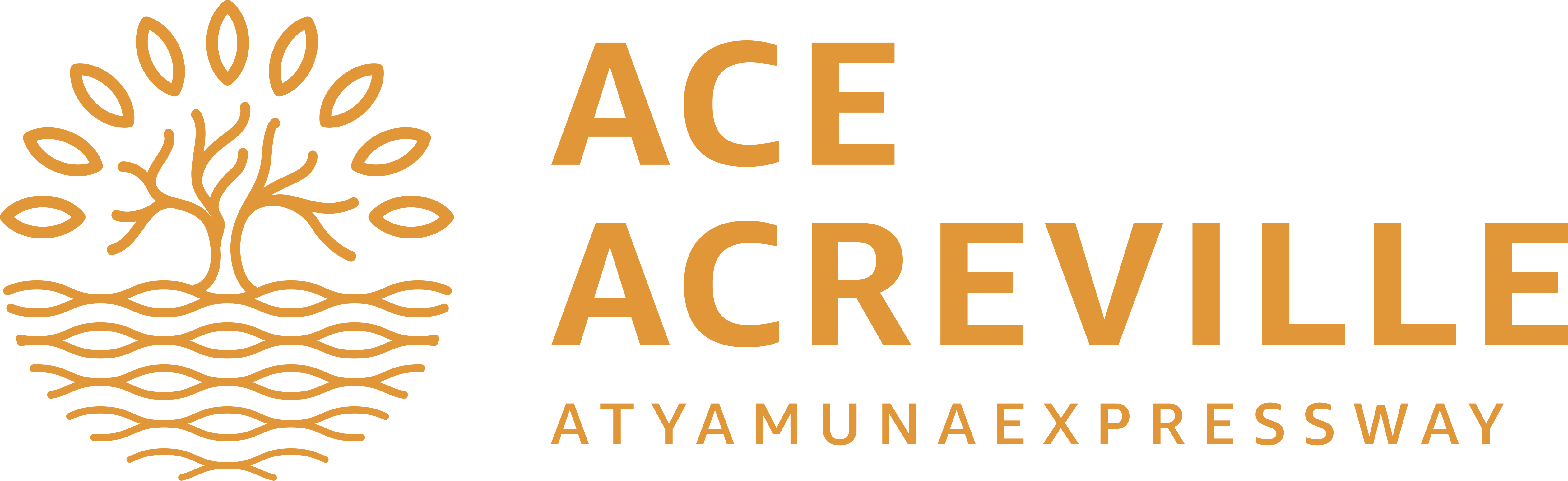 ACE Logo